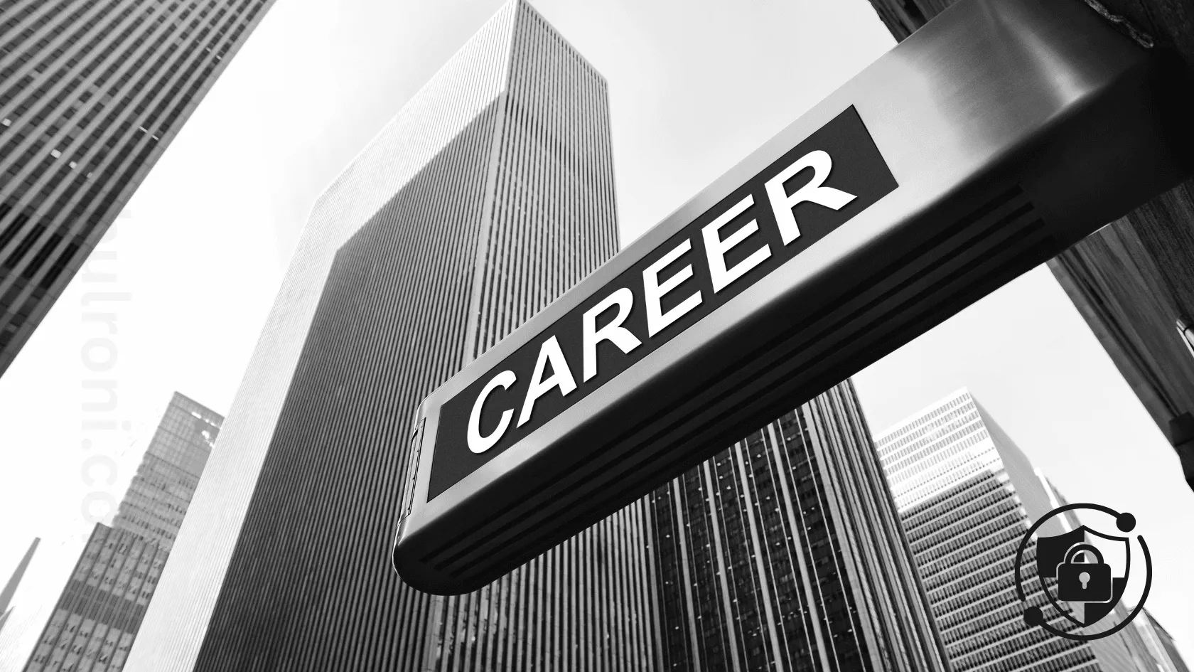 Career in Penetration Testing