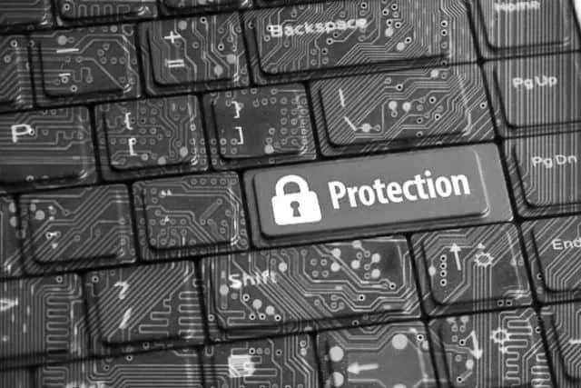 person reading book on white surface