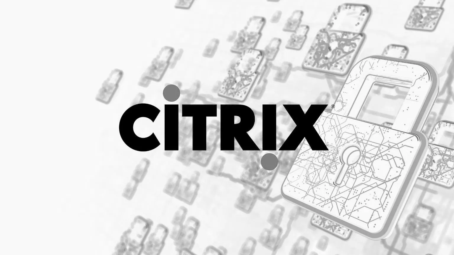 Citrix WAF Solutions